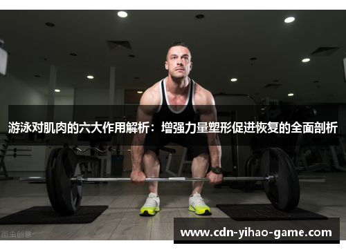 游泳对肌肉的六大作用解析：增强力量塑形促进恢复的全面剖析