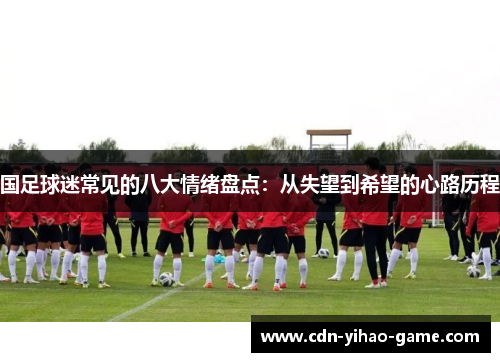 国足球迷常见的八大情绪盘点：从失望到希望的心路历程