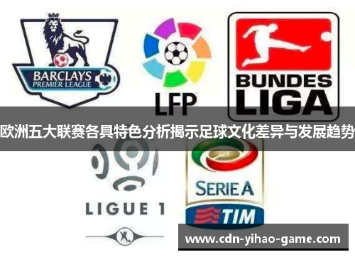 欧洲五大联赛各具特色分析揭示足球文化差异与发展趋势