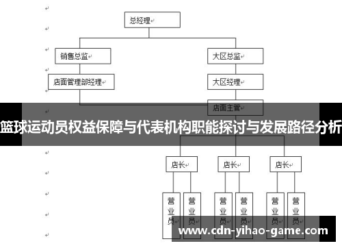 篮球运动员权益保障与代表机构职能探讨与发展路径分析
