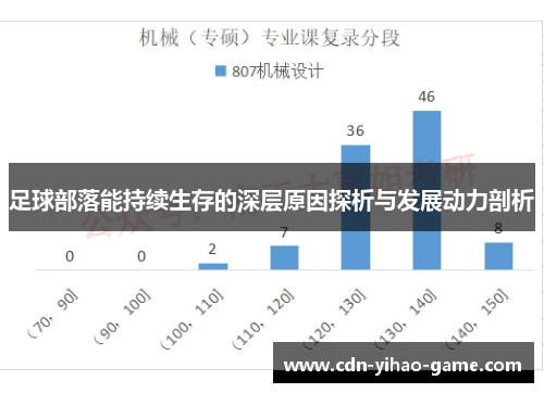 足球部落能持续生存的深层原因探析与发展动力剖析